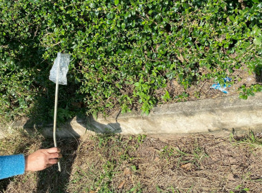 Big Cleaning Day ครั้งที่ 2 โครงการสมดุลชีวิตคนทำงาน พารามิเตอร์รูปภาพ 43